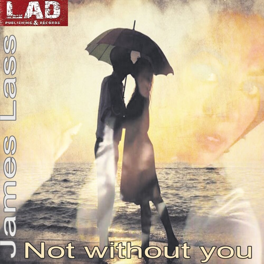Picture of Not Without You