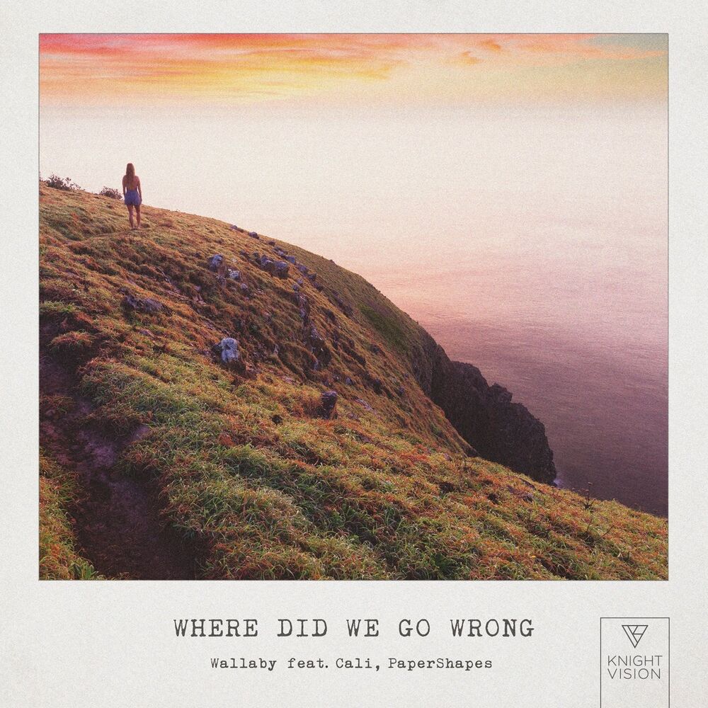 Picture of Where Did We Go Wrong (feat. Cali & PaperShapes)