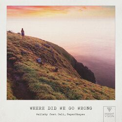 Cover of Where Did We Go Wrong (feat. Cali & PaperShapes)