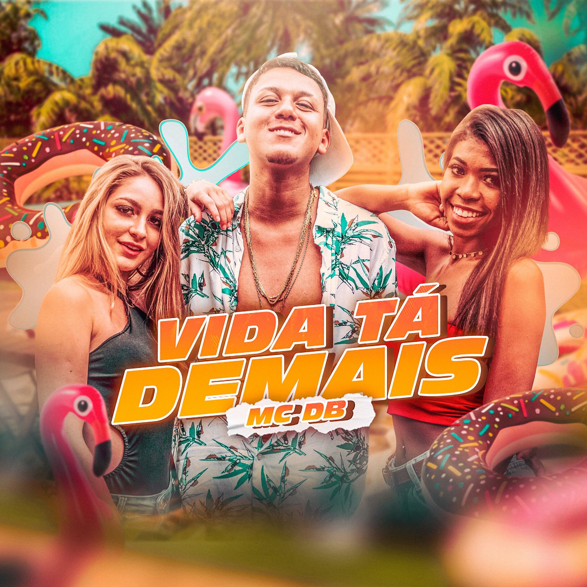 Album cover of Vida Tá Demais