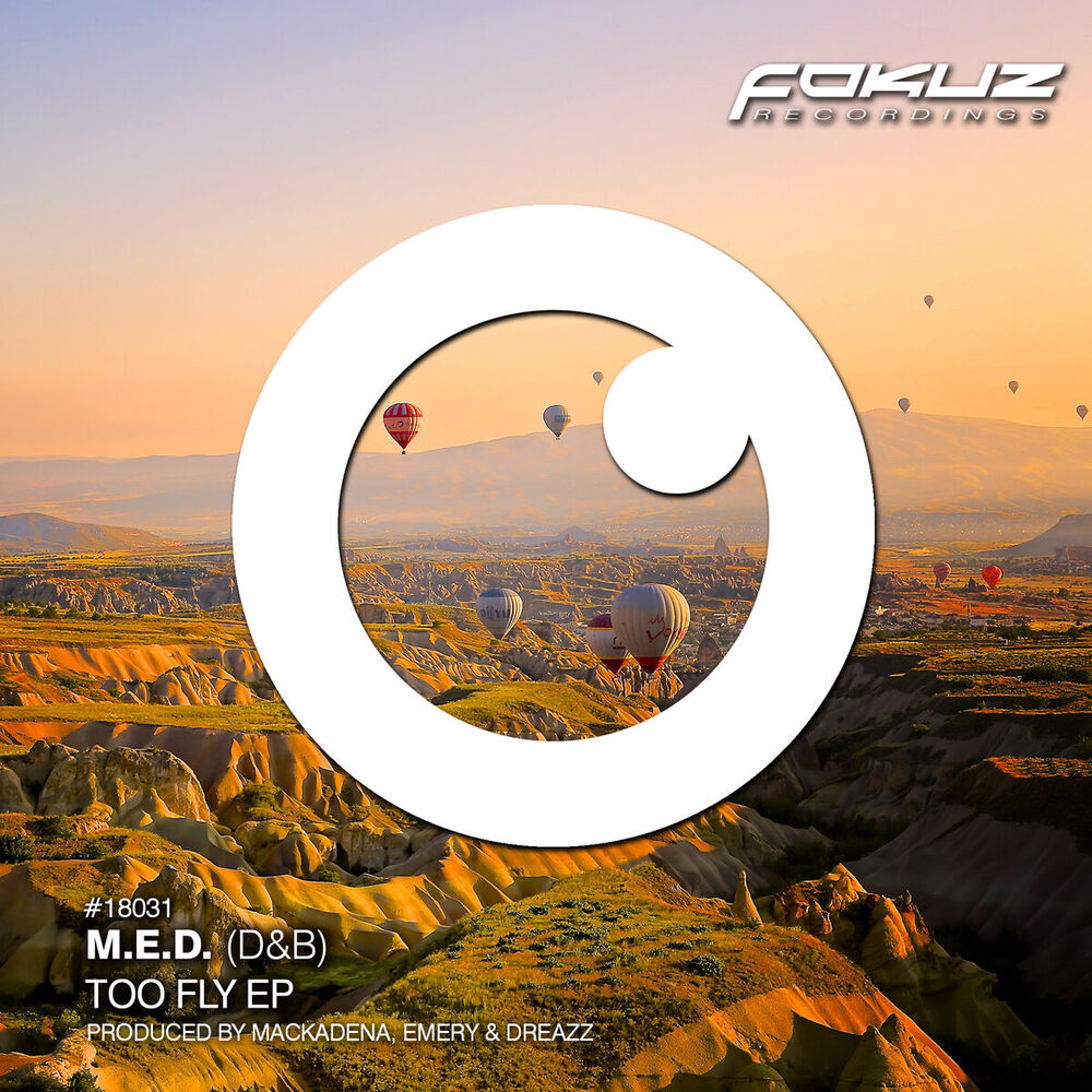 Picture of Too Fly EP