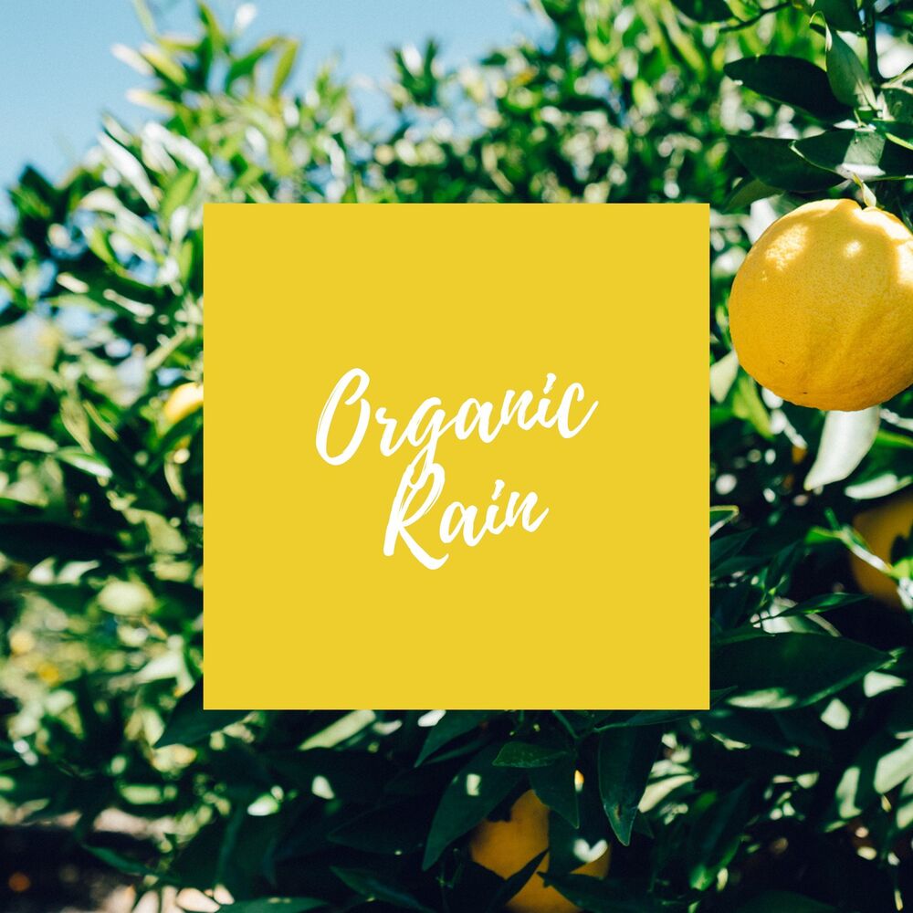 Picture of Organic Rain