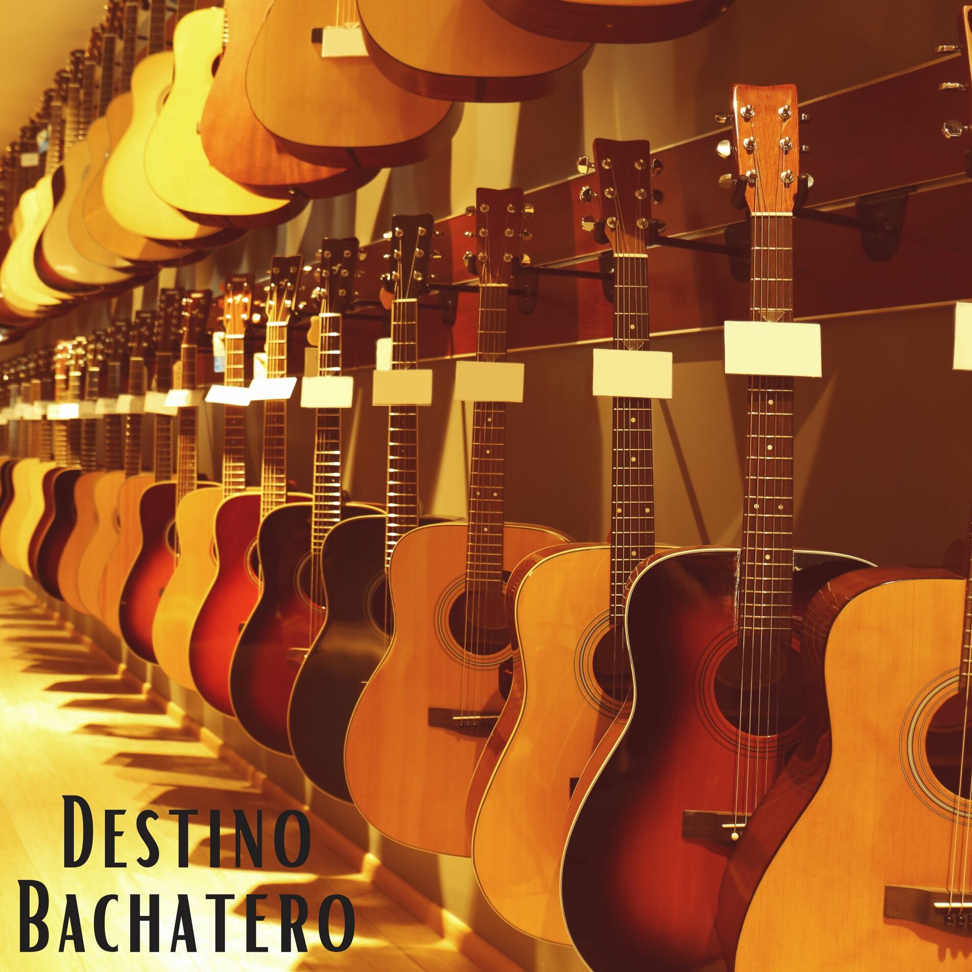 Album cover of Destino Bachatero