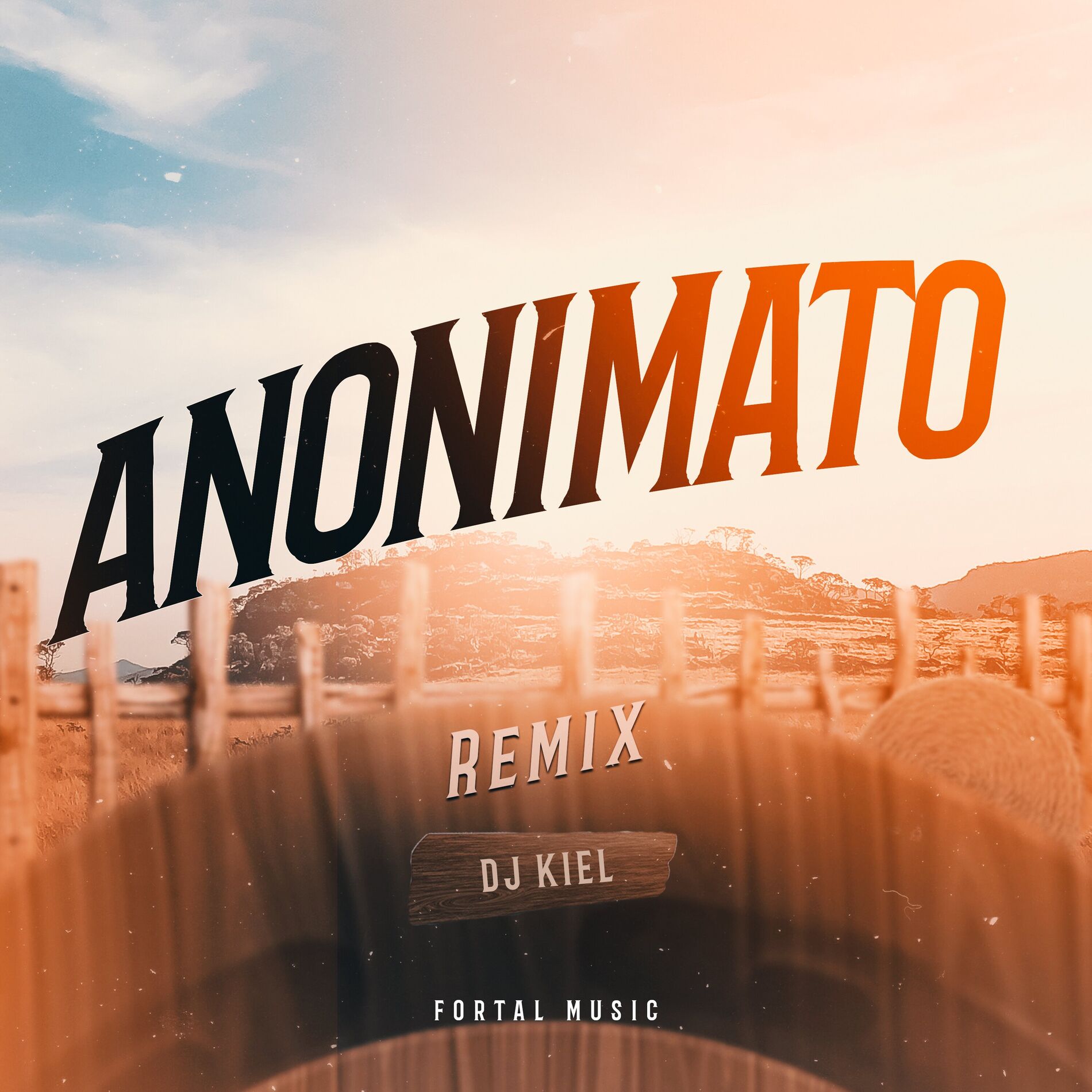 Album cover of Anonimato (Remix)