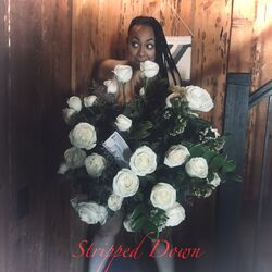 Cover of Stripped Down