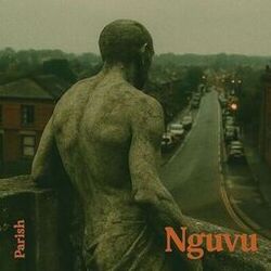 Cover of Nguvu