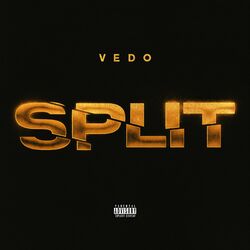Cover of Split