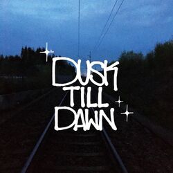 Cover of Dusk Till Dawn