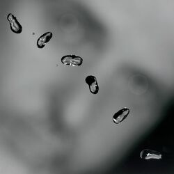 Cover of Up