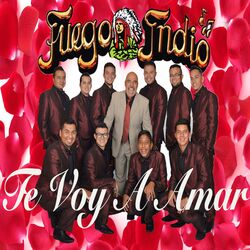 Cover of Te Voy A Amar