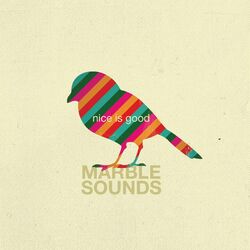 Cover of Nice Is Good