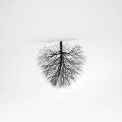 Cover of Jannette