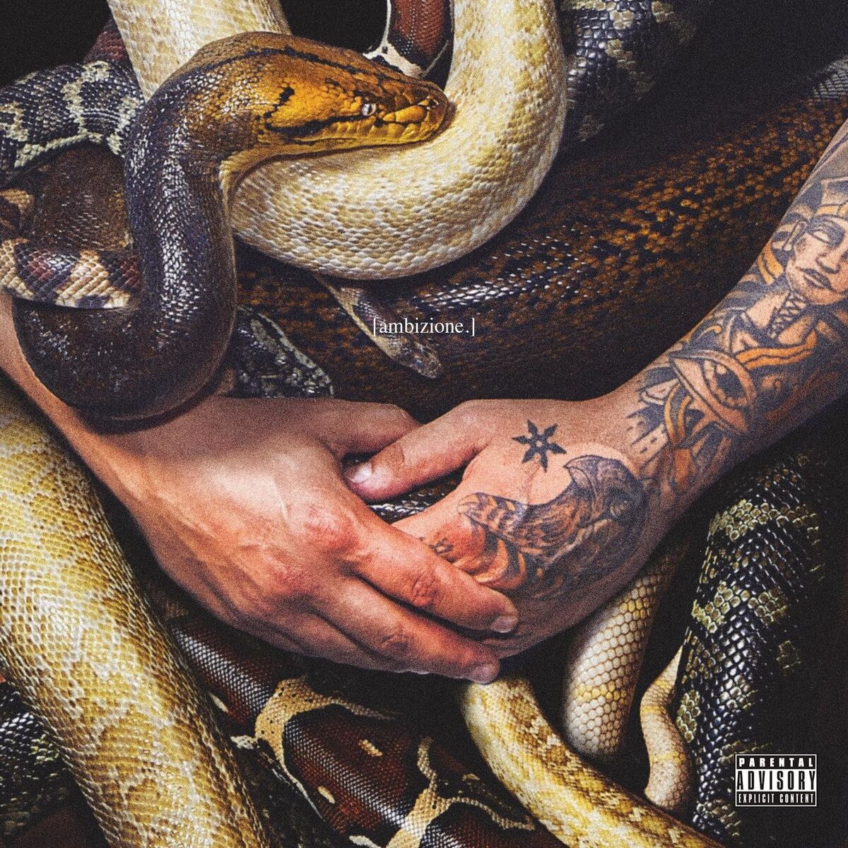 Album cover of AMBIZIONE