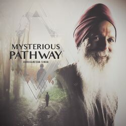 Cover of Mysterious Pathway