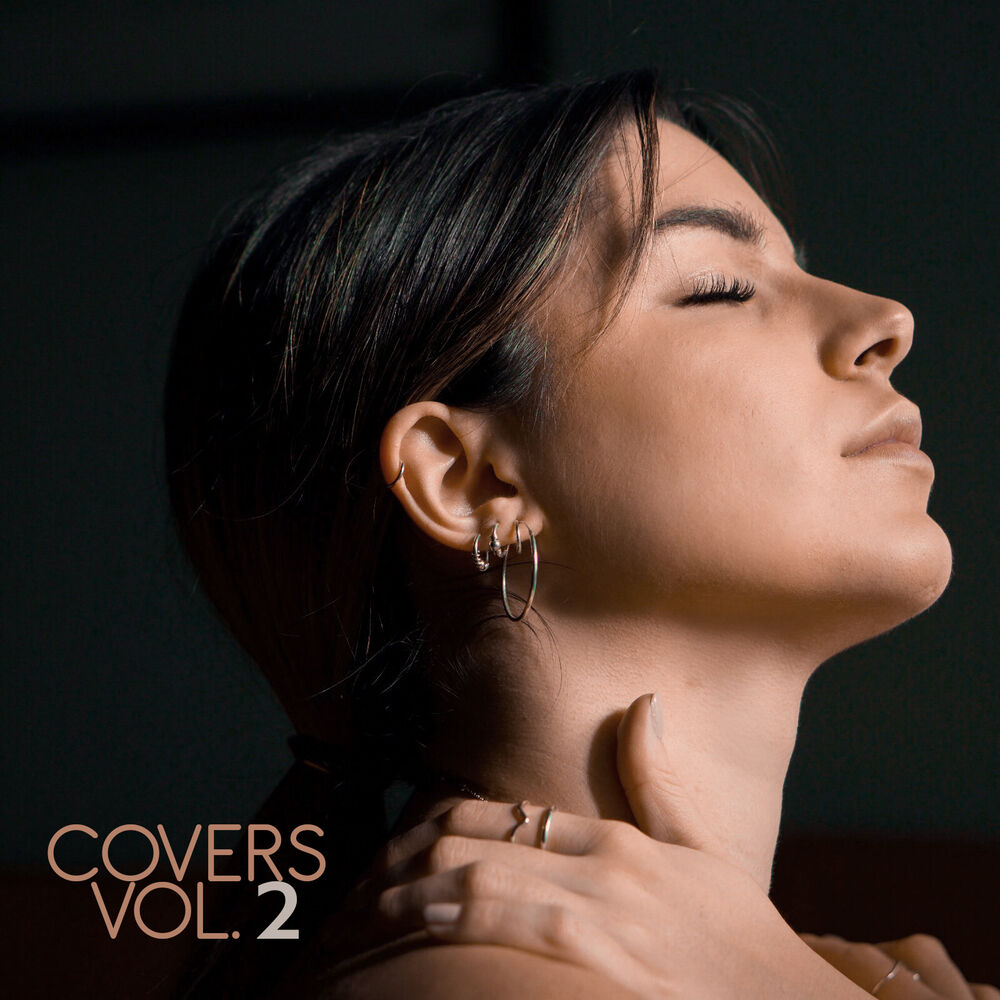 Picture of Covers Vol. 2