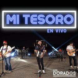 Cover of Mi Tesoro (En Vivo)
