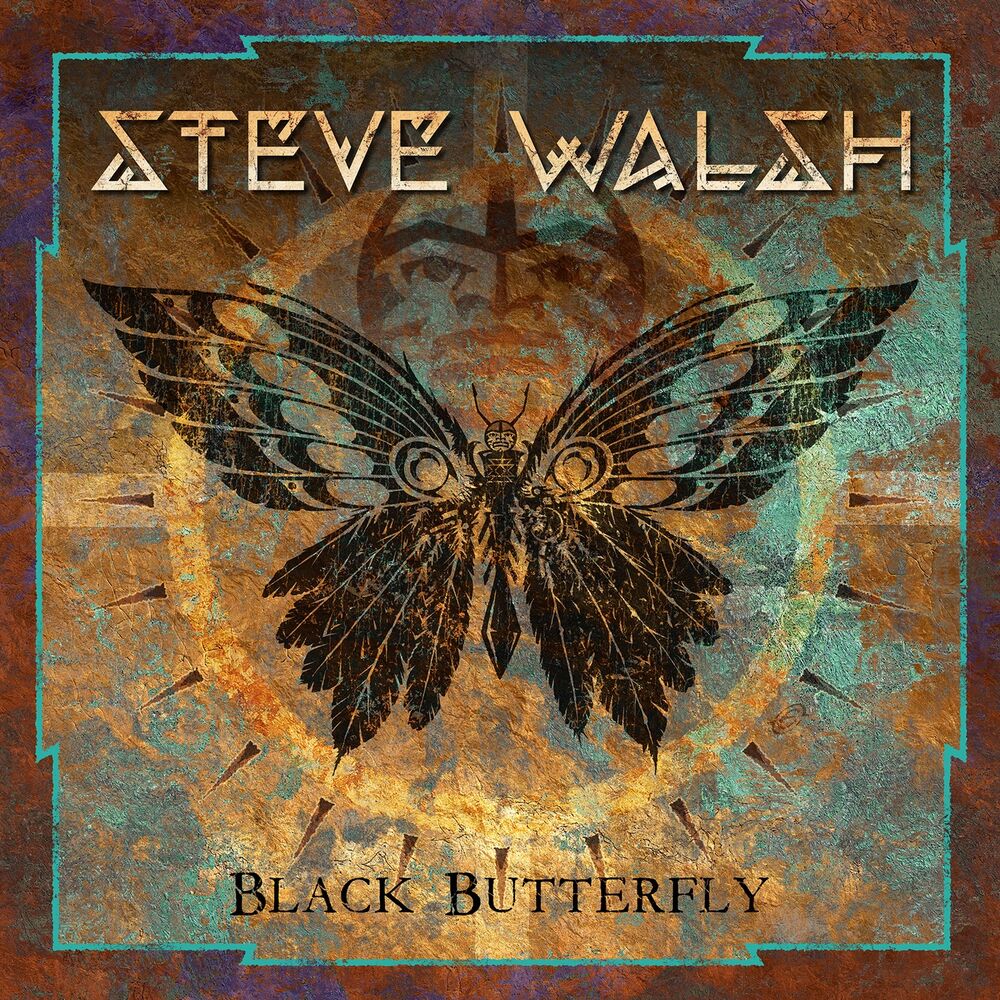 Picture of Black Butterfly