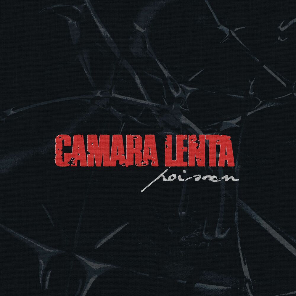Picture of Camara lenta