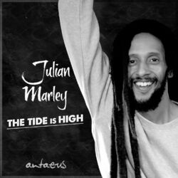 Cover of The Tide is High