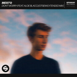 Cover of Don't Worry (feat. Aloe Blacc) (Otsem Extended Mix)