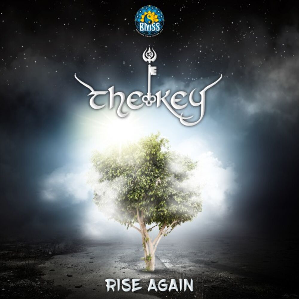 Picture of Rise Again