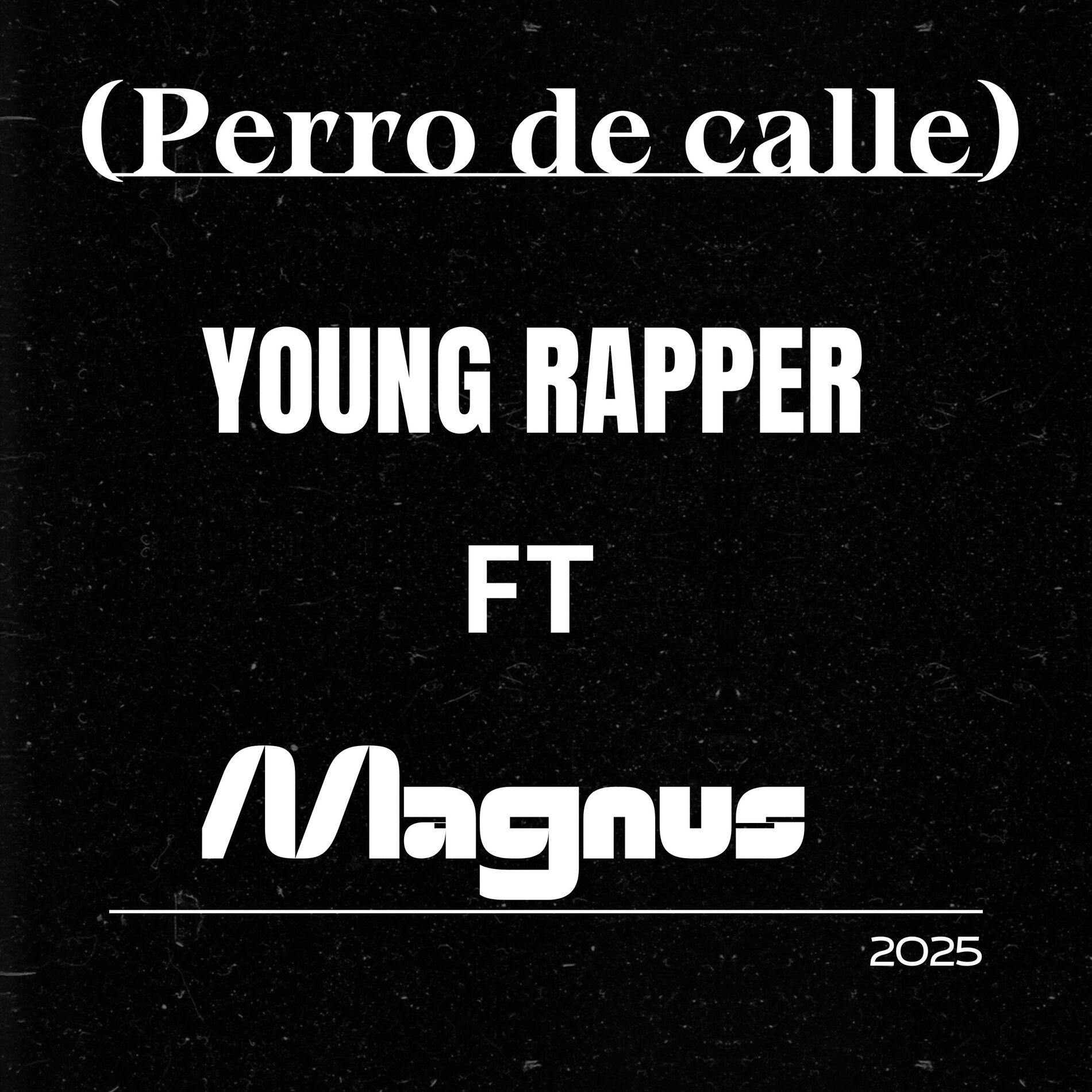 Album cover of PERRO DE CALLE (Freestyle)