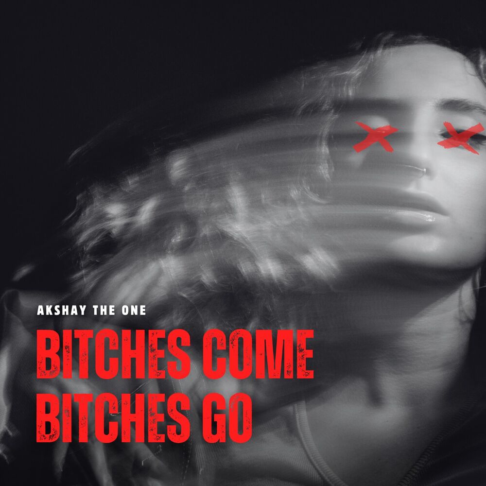 Picture of Bitches Come Bitches Go