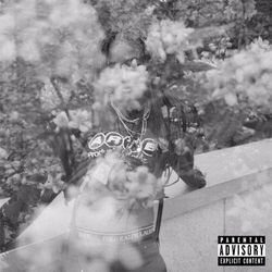 Cover of burnout