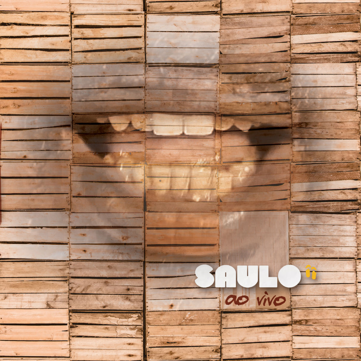 Album cover of Raiz De Todo Bem
