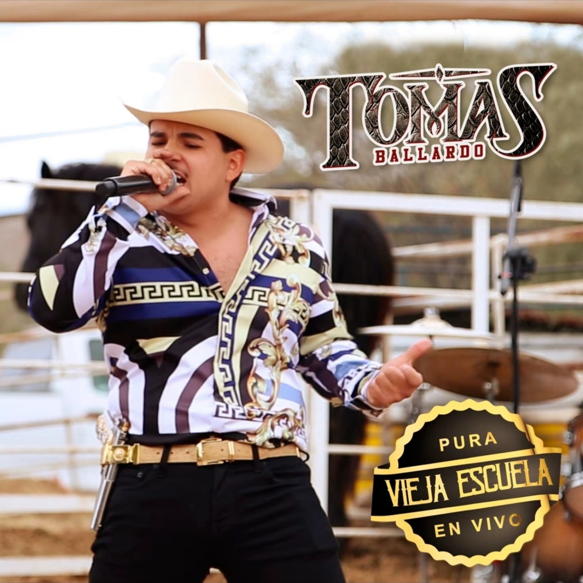 Album cover of Pura Vieja Escuela (En Vivo)