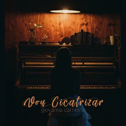 Cover of Vou Cicatrizar
