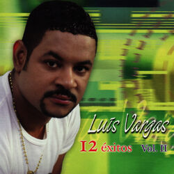 Cover of 12 Exitos Vol. 2
