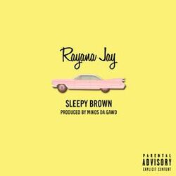 Cover of Sleepy Brown