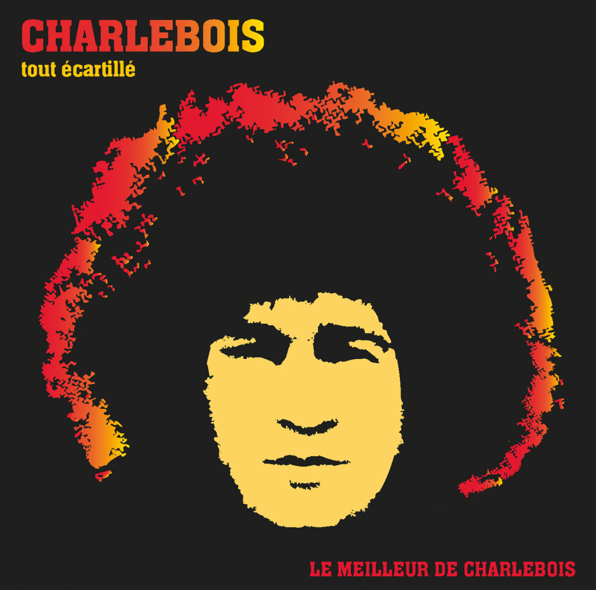 Album cover of Ordinaire