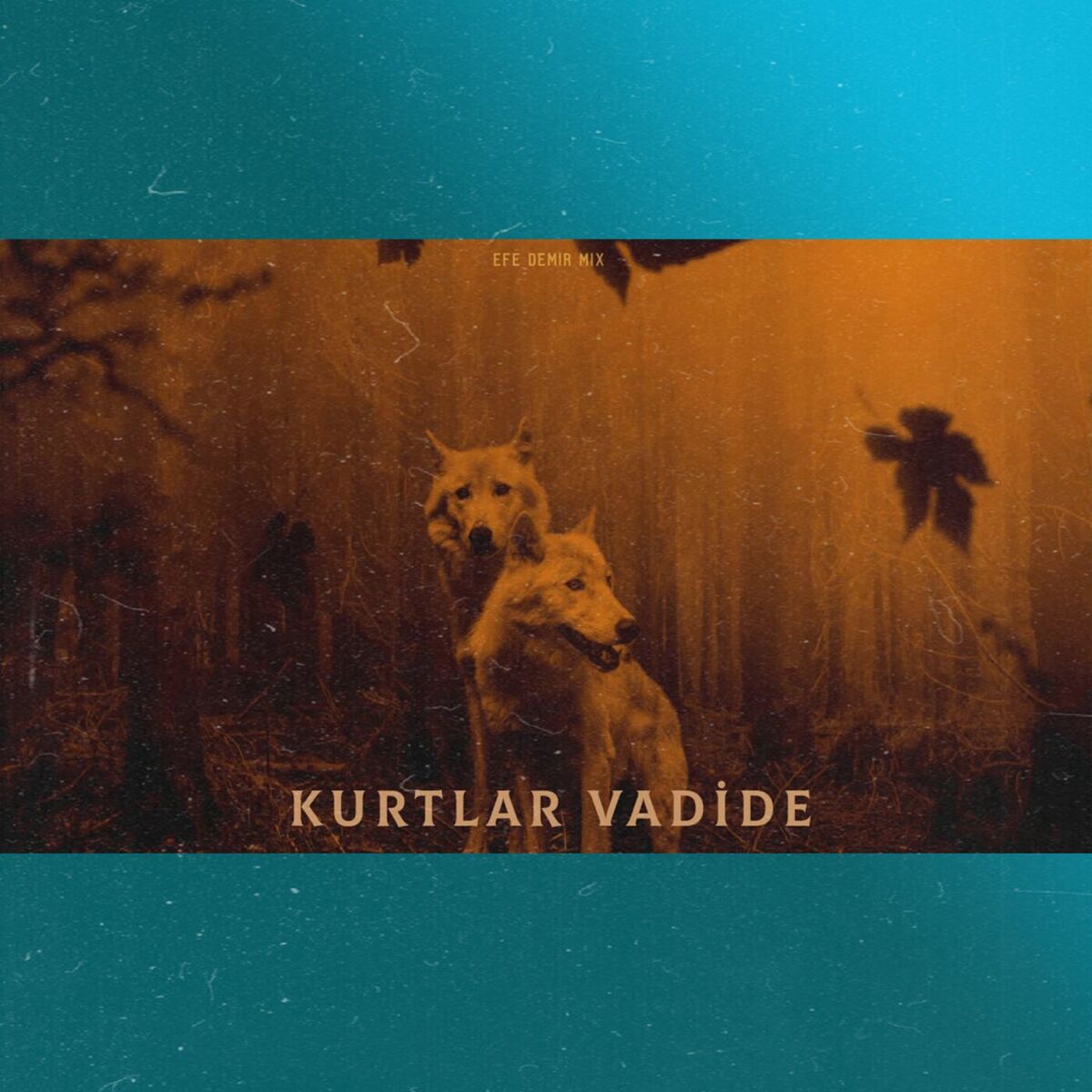Album cover of Kurtlar Vadide