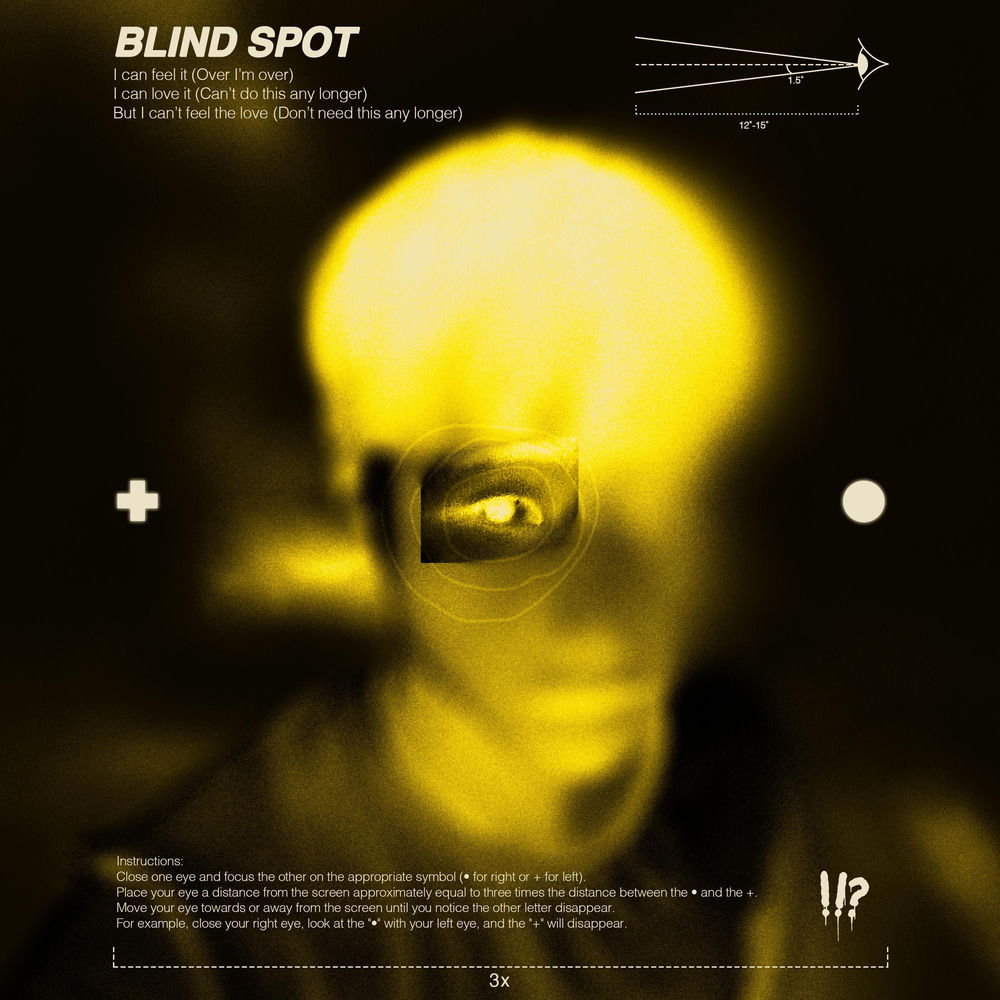 Album artwork for Blind Spot by Dreaming Flesh