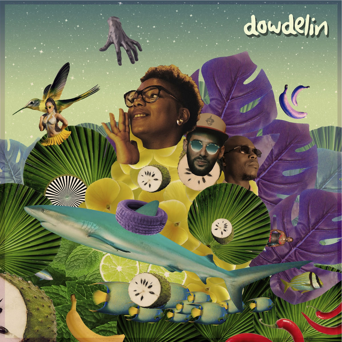 Album cover of Slowdown