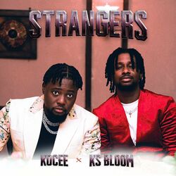 Cover of Stranger