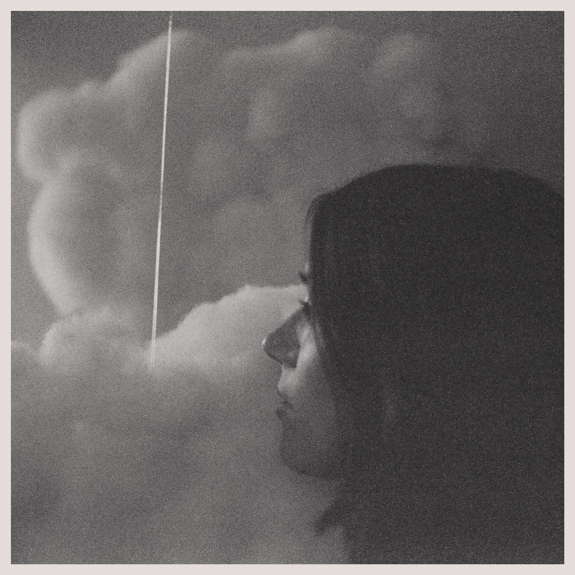 Album cover of Cicadas