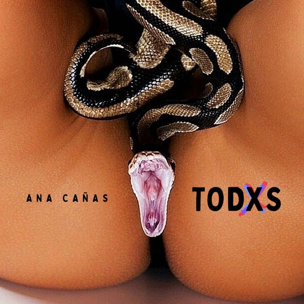 Album cover of Todxs