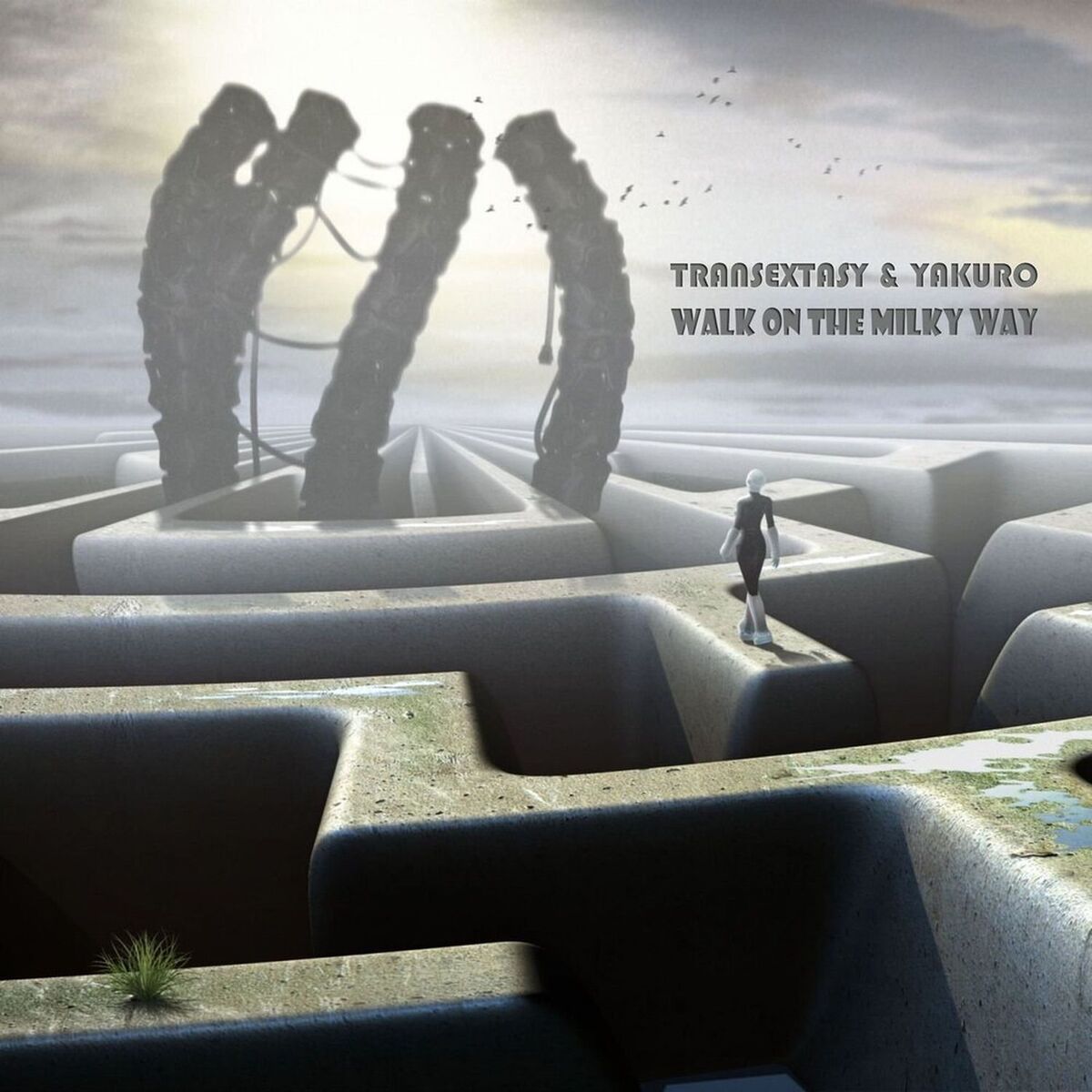 Album cover of Walk on the Milky Way