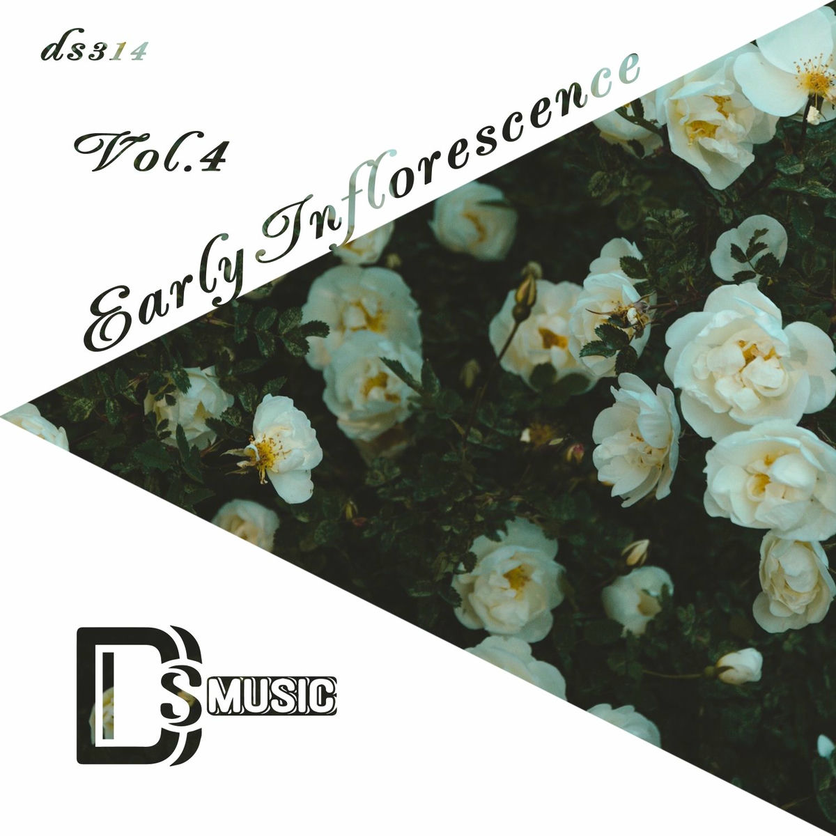 Album cover of Early Inflorescence, Vol. 4