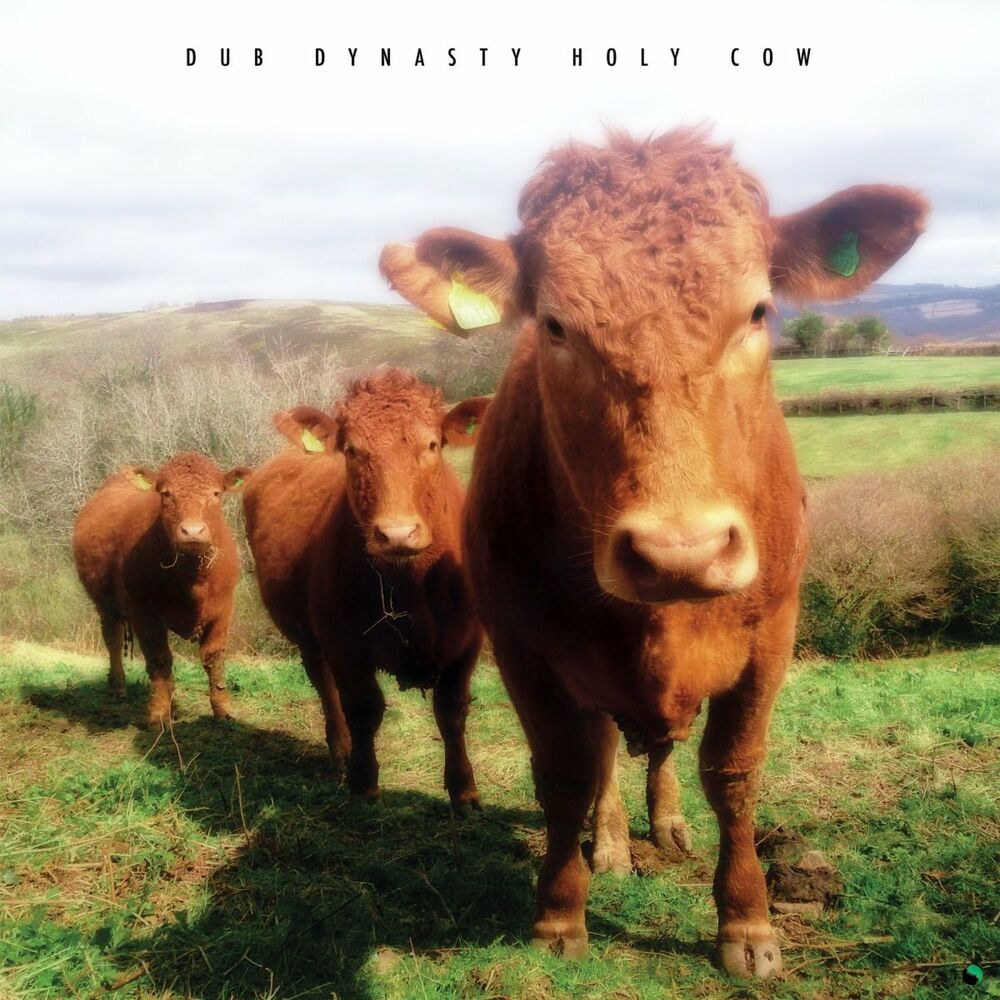 Picture of Holy Cow