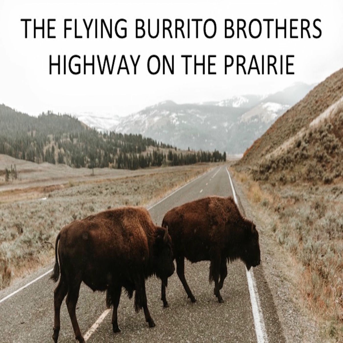 Album cover of Highway on the Prairie
