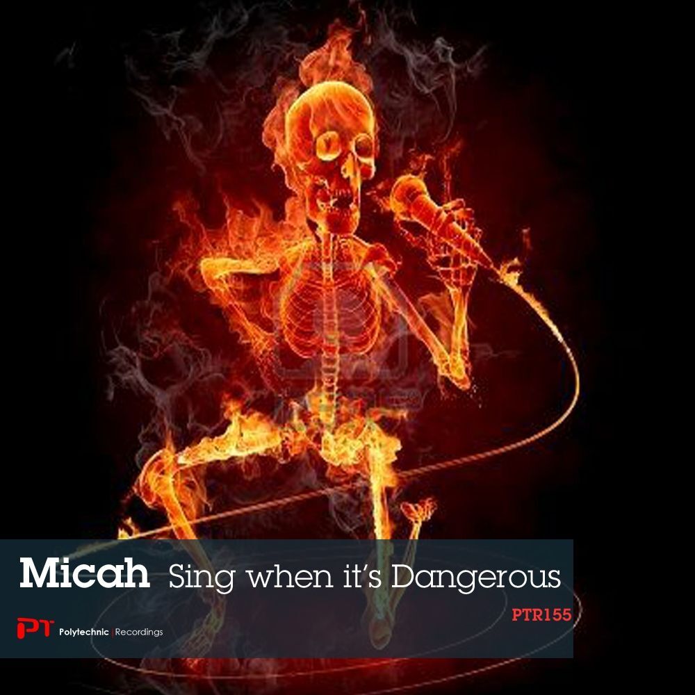 Picture of Sing When It's Dangerous