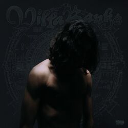 Cover of VILLABANKS