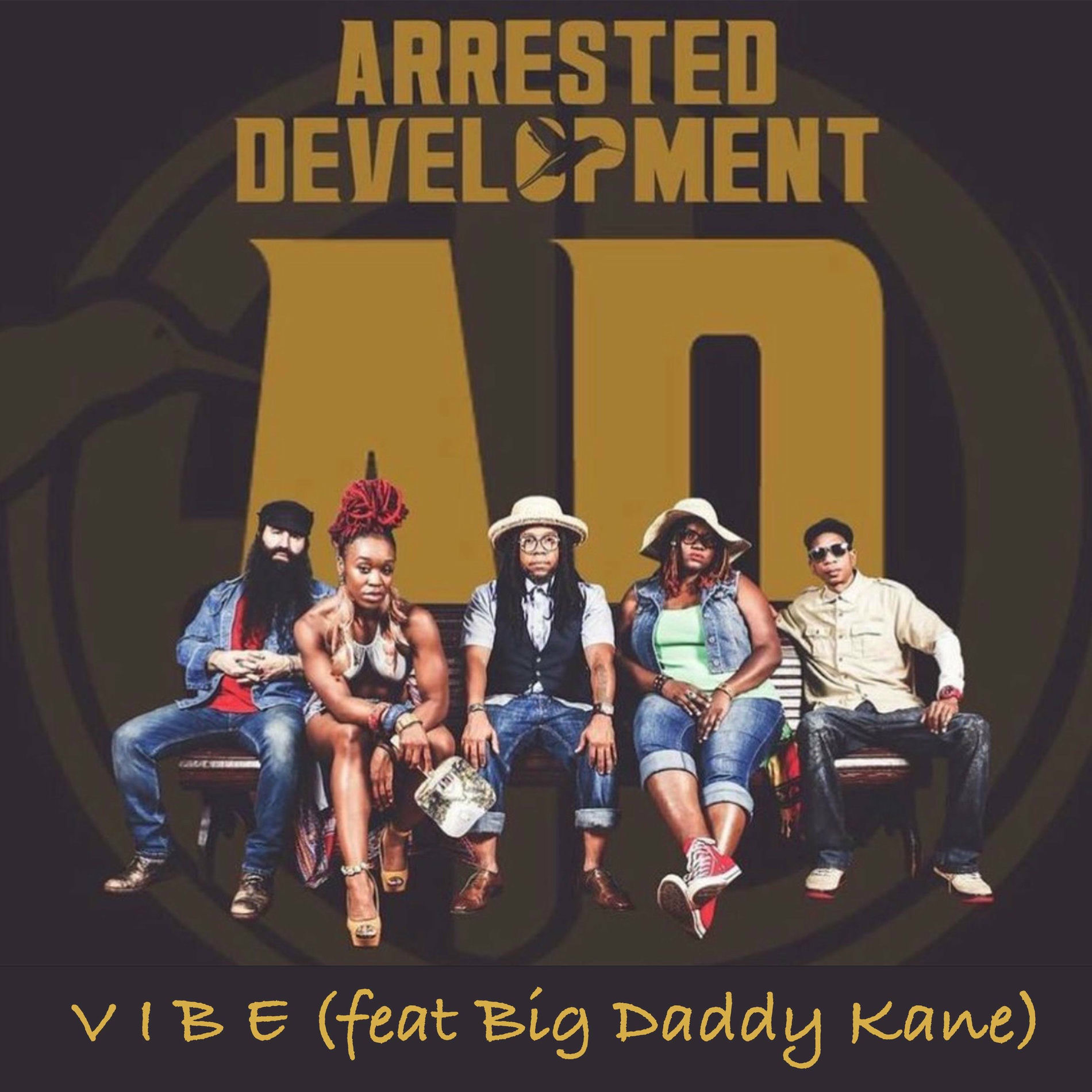 Album cover of Vibe (feat. Big Daddy Kane, Cleveland P. Jones, Speech & Tasha LaRae)