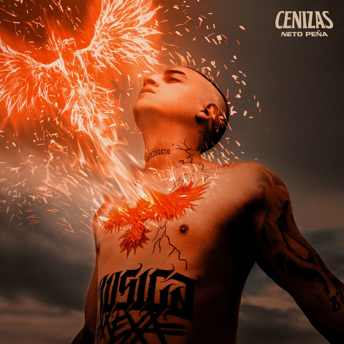 Album cover of Música Mexa