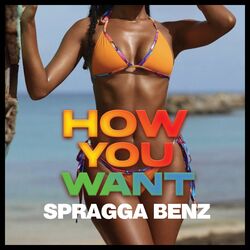 Cover of How You Want