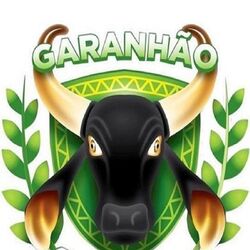 Cover of Para Sempre Garanhão